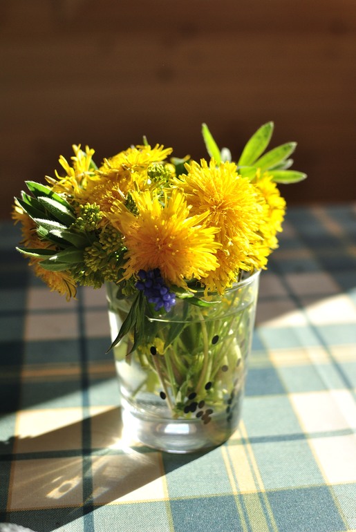 Первая вылазка