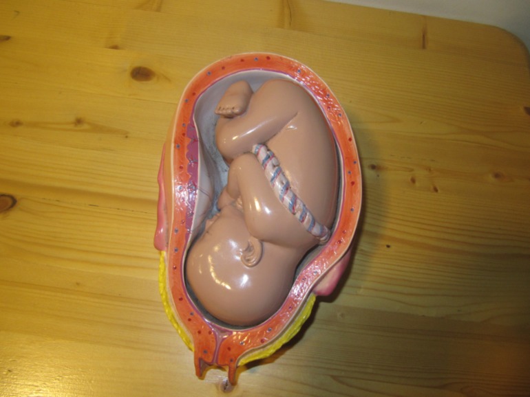 ЭКСПЕРЕМЕНТАРИУМ