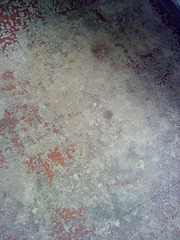 3 месяца. И как мы в больнице полежали.