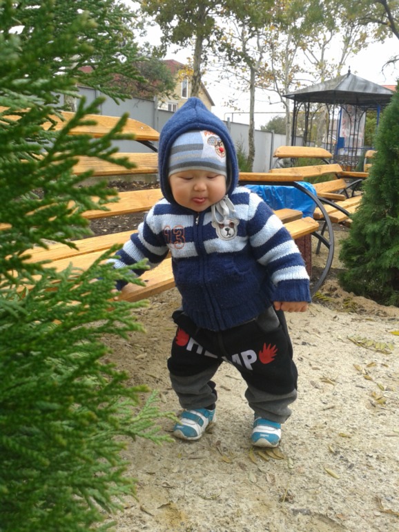 5df8592b88bba1157aed37de516f074f.jpg