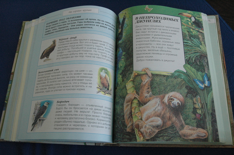 Апрельские новобранцы