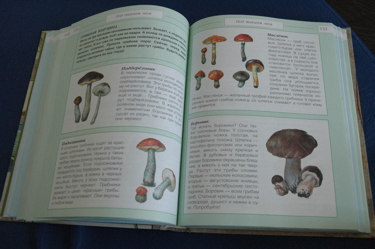 Апрельские новобранцы