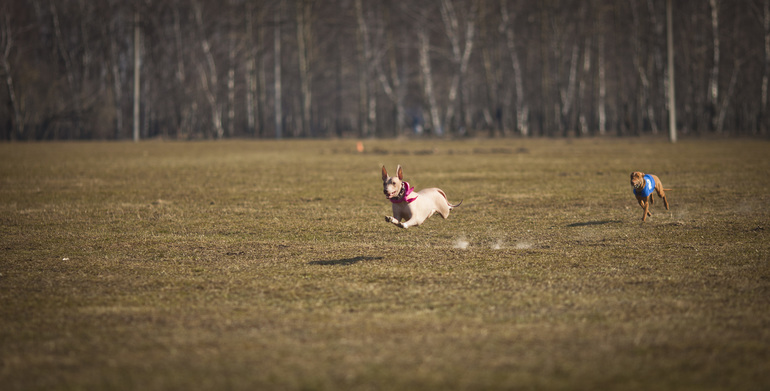 первый курсинг Фарры))
