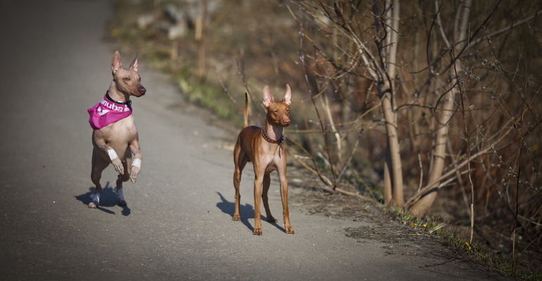 первый курсинг Фарры))
