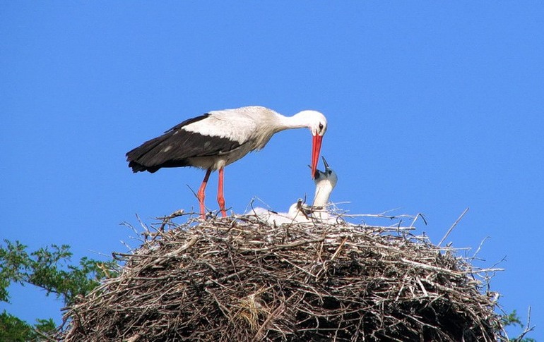 Была у врача! Отправили опять стараться... Визуализирую, а что ещё делать?