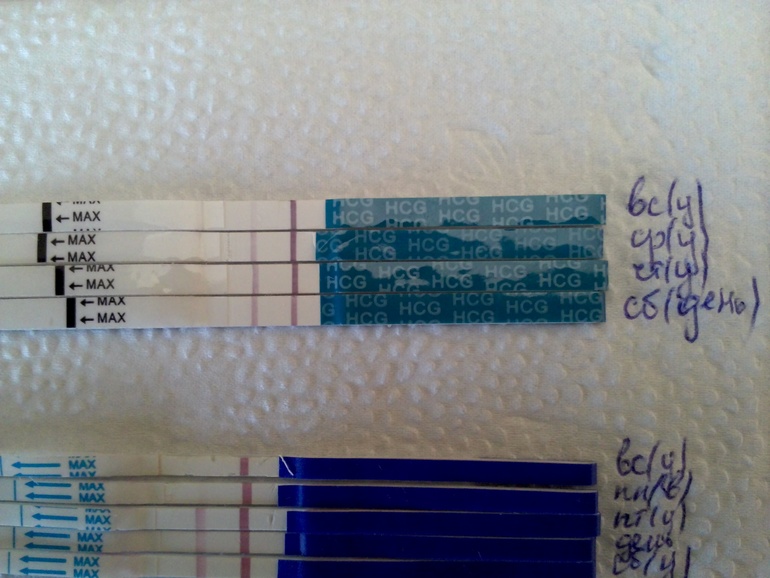 Мое сумасшествие и тесты