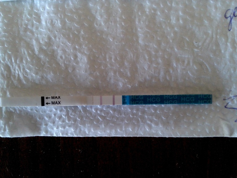 Мое сумашествие и тесты