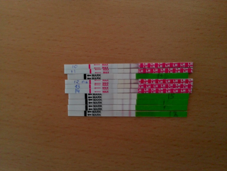 совсем запуталась с Овуляцией и ПА