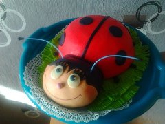 Мои первые ТОРТИКИ - есть ли у меня будущее? :)