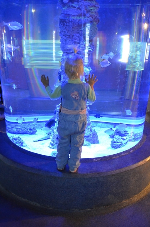 Санкт-Петербург, 7 - 14 июня 2014 год