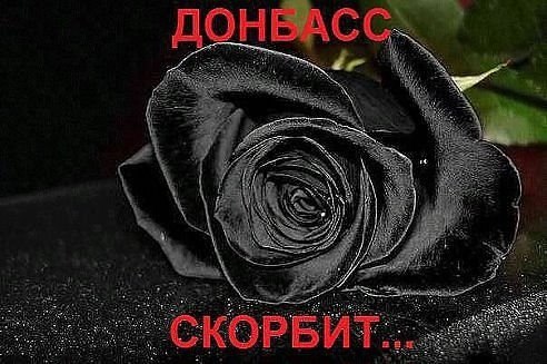9118169ce976afa05864020131c6279d.jpg