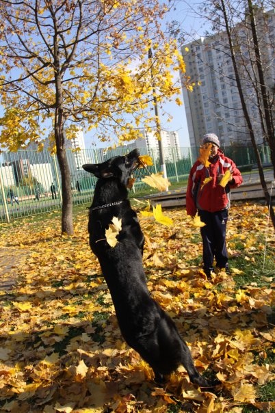 Мой старшенький... Фросик)