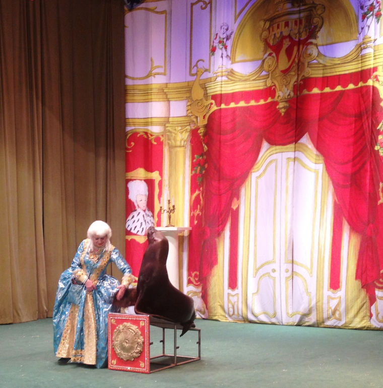 Уголок Дурова