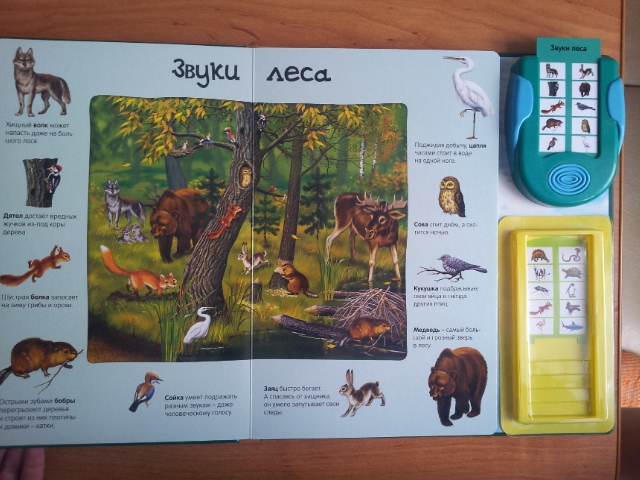 100 волшебных звуков или