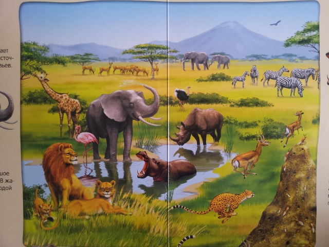 100 волшебных звуков или