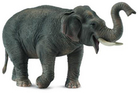 Кому животных - смотрите что нашла))