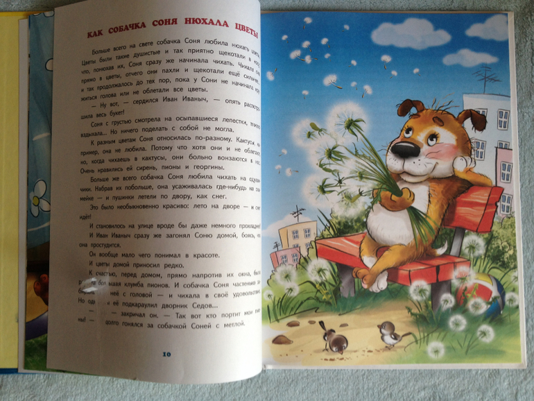 Наши книжные обновки