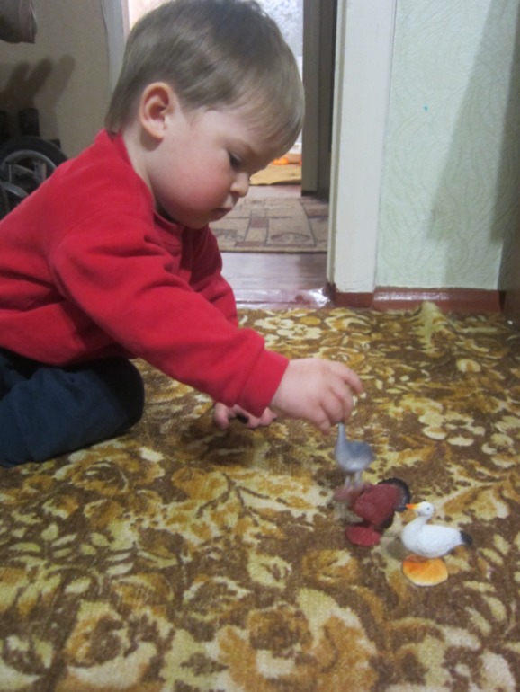 ТН ПТИЦЫ День 3