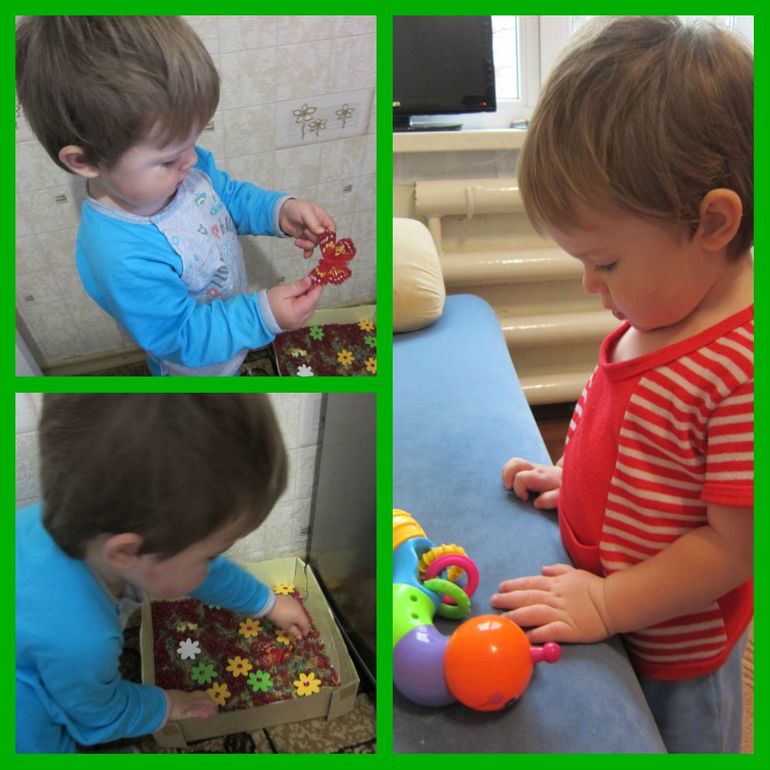 ТН НАСЕКОМЫЕ День 1