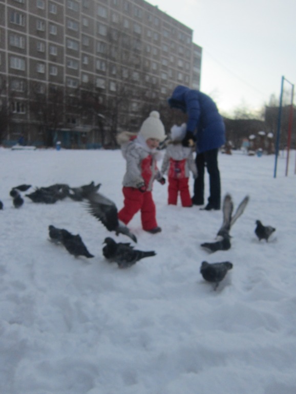 ТН Встречавем зиму. День второй. Зимующие птицы