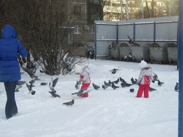 ТН Встречавем зиму. День второй. Зимующие птицы
