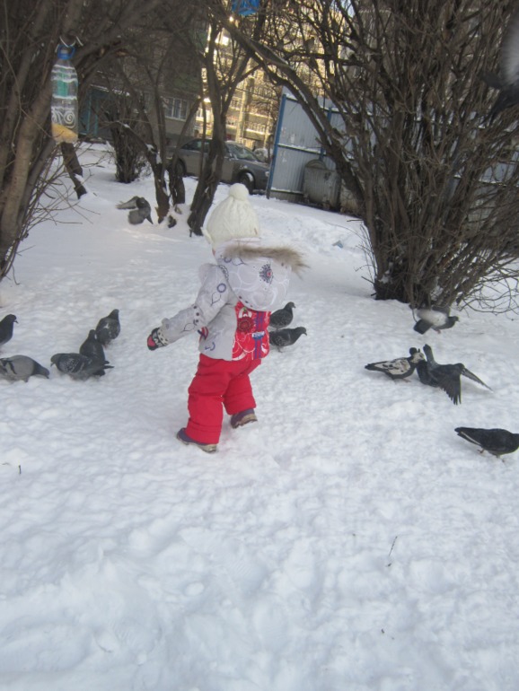 ТН Встречавем зиму. День второй. Зимующие птицы