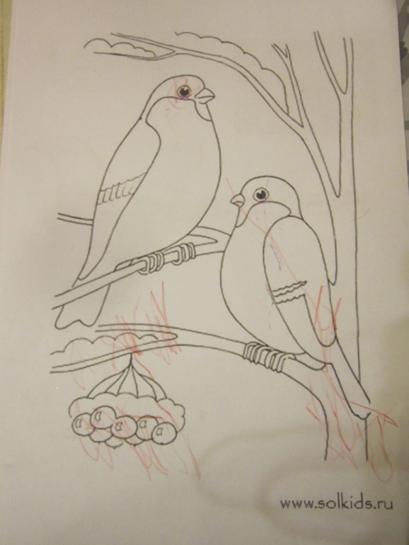 ТН Встречавем зиму. День второй. Зимующие птицы