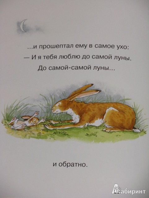 Новые книжки - полный восторг!