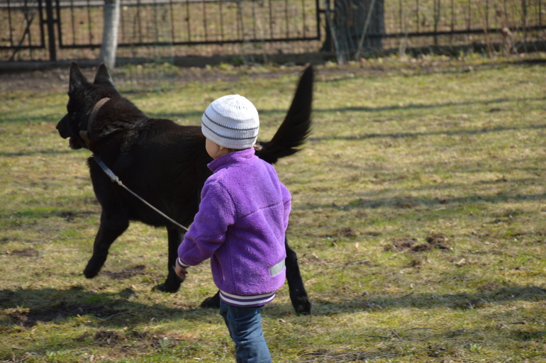 Собака-друг ребенка)