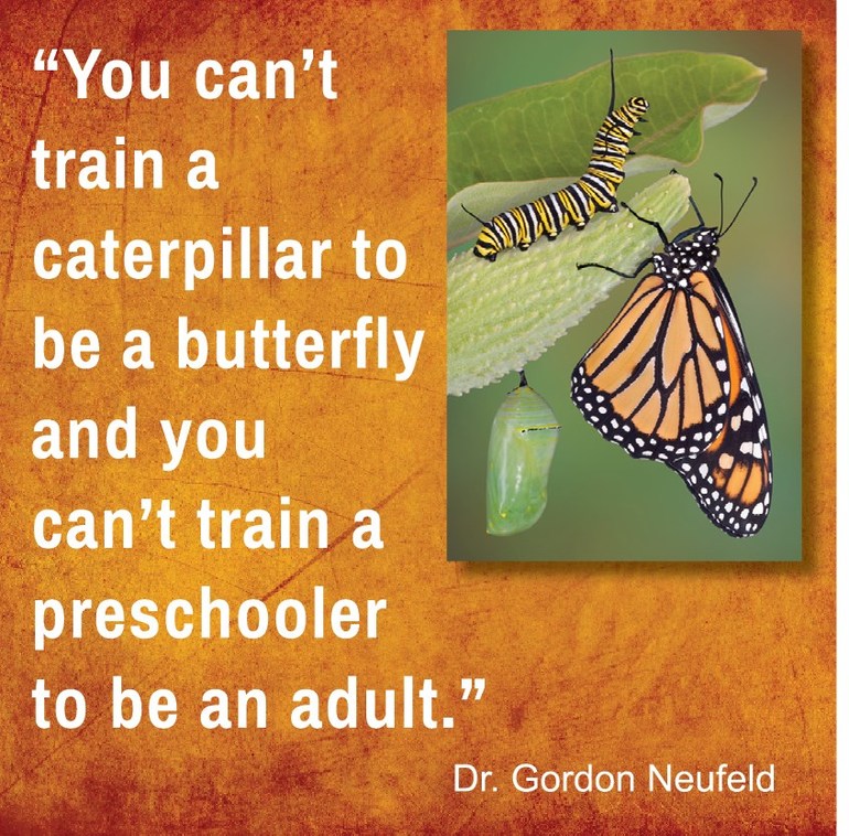 Также, как невозможно обучить гусеницу быть бабочкой, невозможно обучить дошкольника быть взрослым Г.Ньюфелд