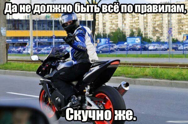 принцип жизни