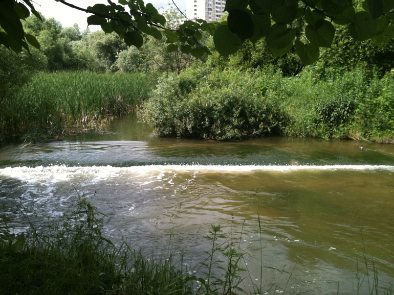Зерно добра.