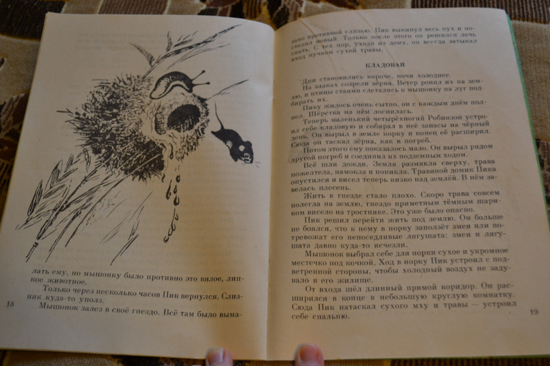 Художники из детства)