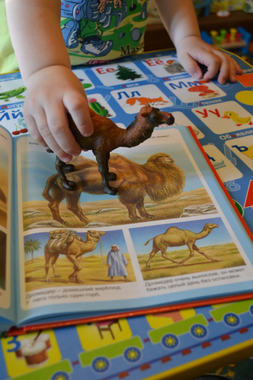 Наши животные