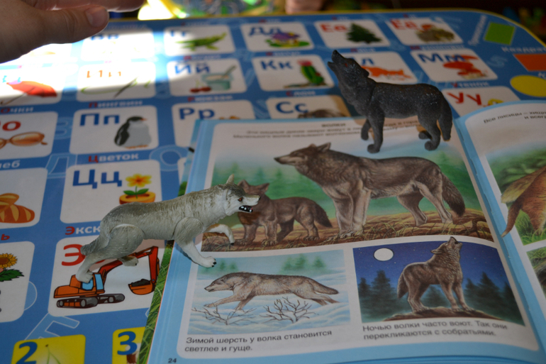 Наши животные