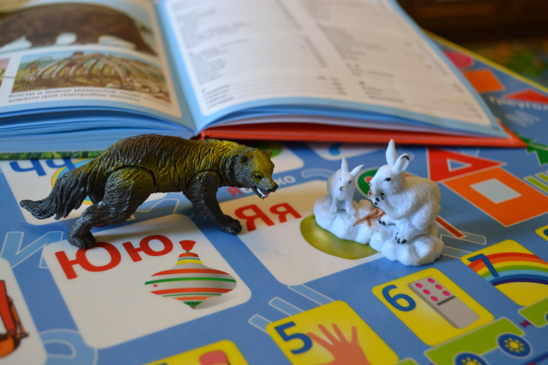 Наши животные