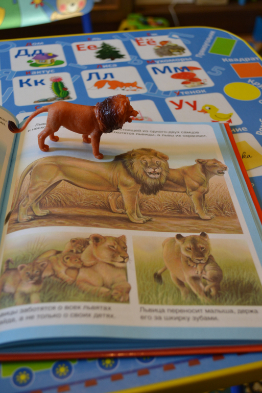 Наши животные