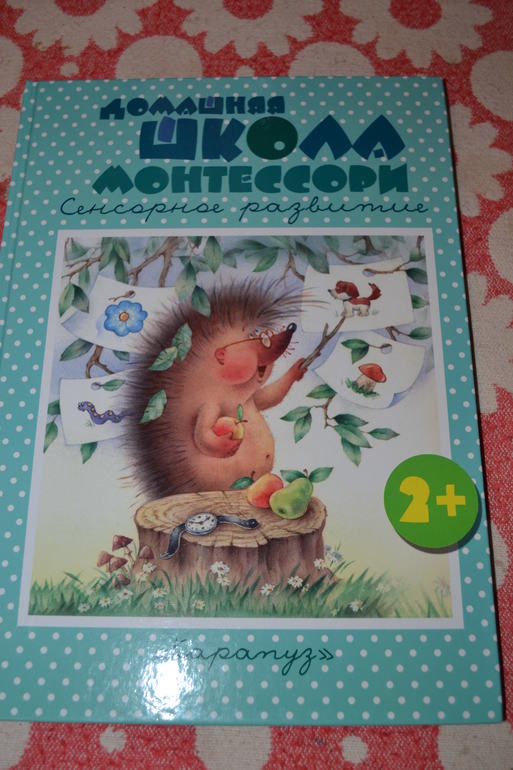 Наше развивающее пополнение