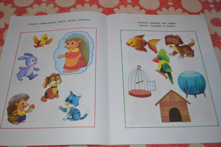 Наше развивающее пополнение