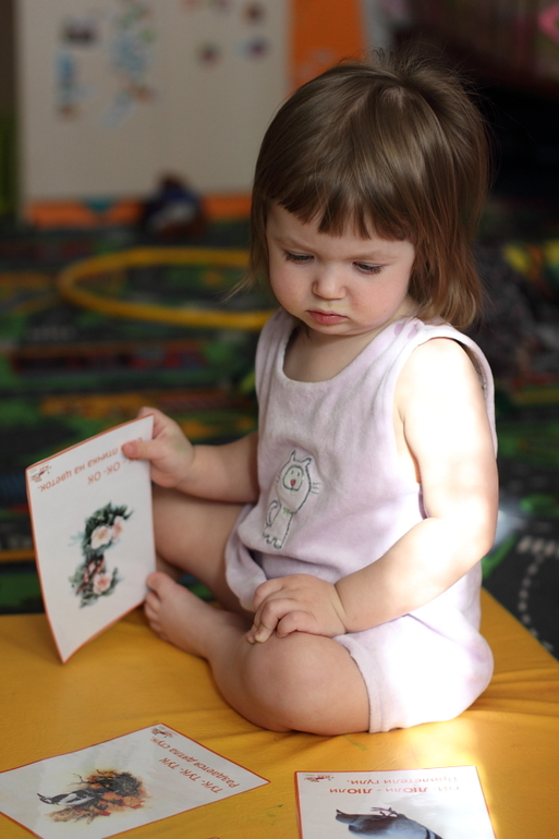 ТН Птицы. День 2