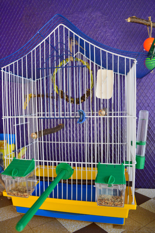 И снова о наших баранах!