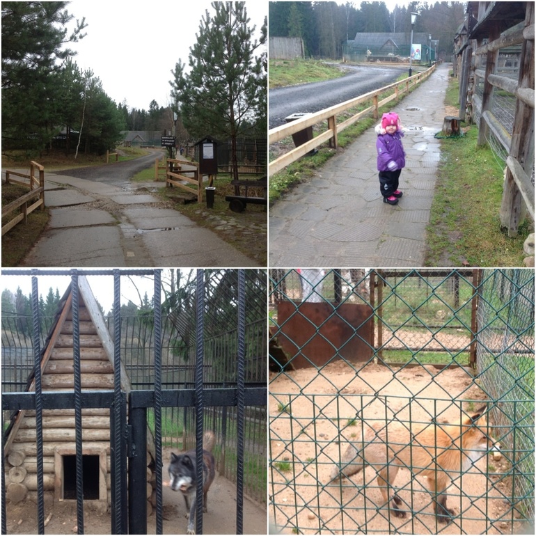 Наши выходные в Бест Кантри Резорт