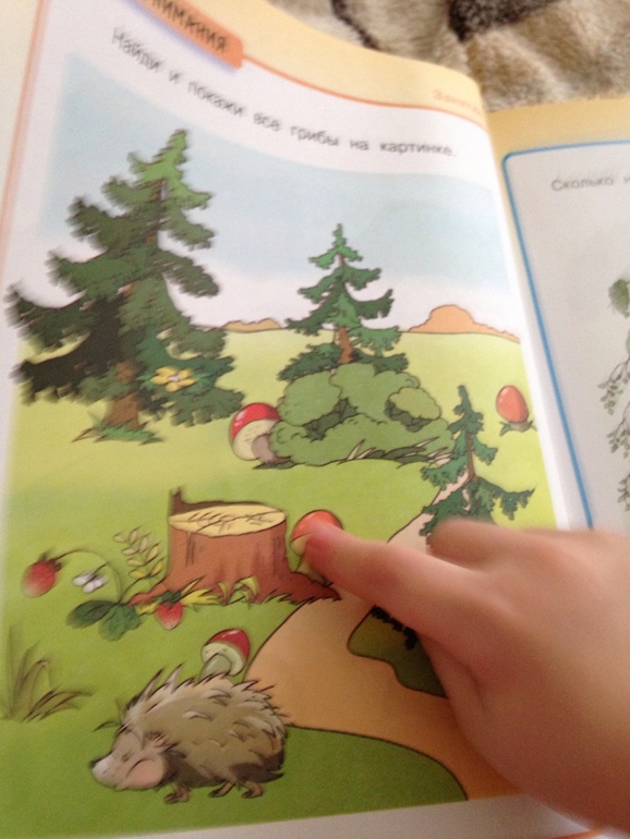 Наши занятия.