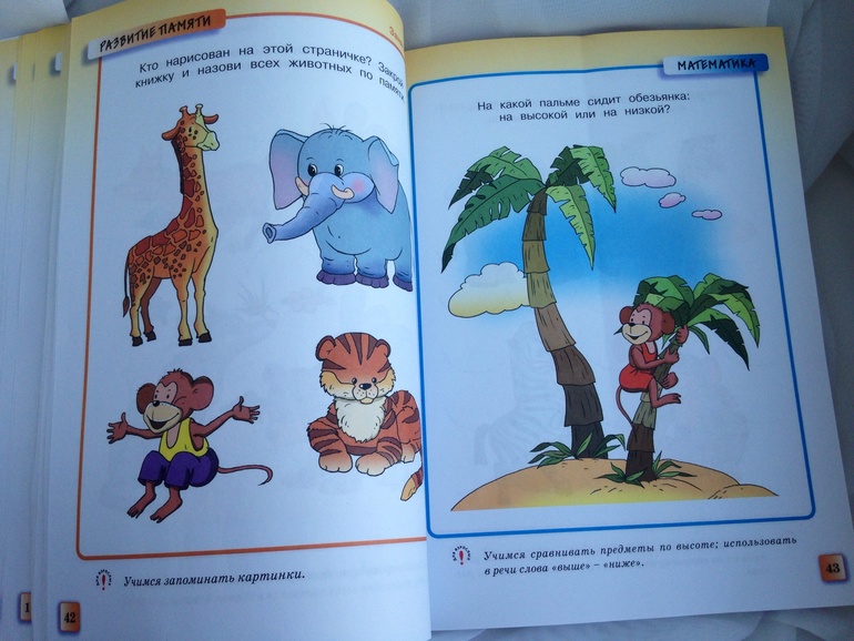 Наши занятия.