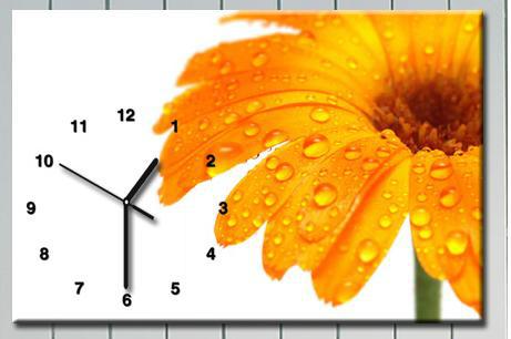 Мои хотелки