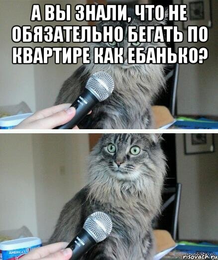 19dbd3aa3ae057d70aaa214471fd49d3.jpg
