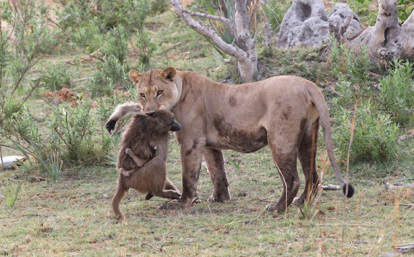 Неожиданно)))