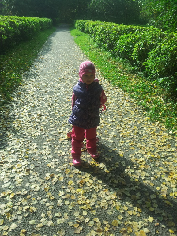 Ответы на вопросы. Взяла у Oili (Ольга). Нам 3,8!