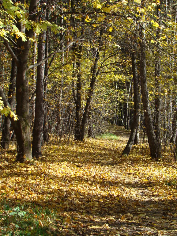 Осень