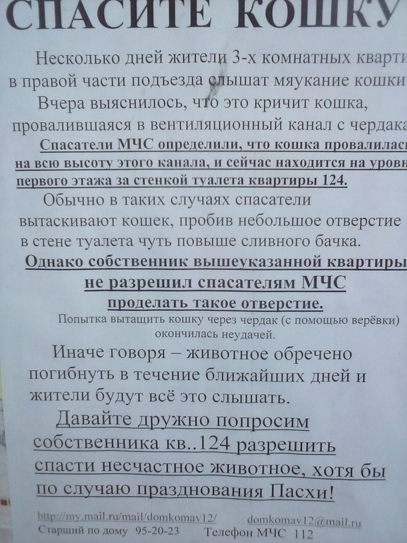 Со вчерашнего дня в трансе  от этого объявления на подьезде...ДЕТЕКТИВКА
